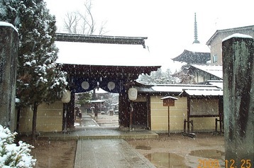 JT�p�p�̎G�L��