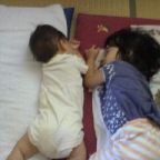 JT�p�p�̎G�L��