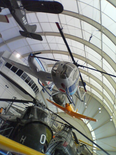 JT�p�p�̎G�L��