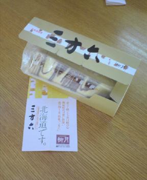 JT�p�p�̎G�L��