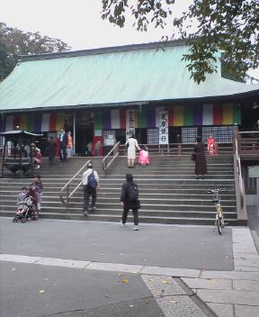 JT�p�p�̎G�L��