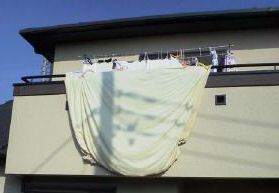 JT�p�p�̎G�L��