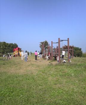 JT�p�p�̎G�L��