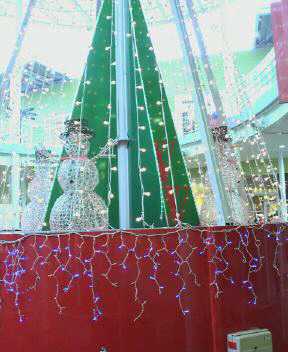 JT�p�p�̎G�L��