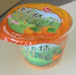 JT�p�p�̎G�L��