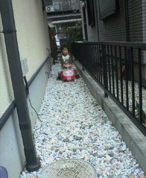 JT�p�p�̎G�L��