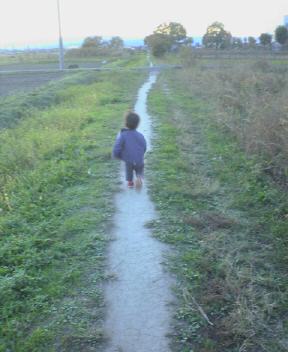 JT�p�p�̎G�L��