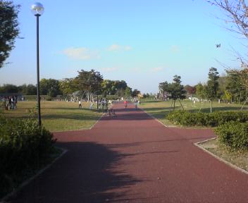 JT�p�p�̎G�L��