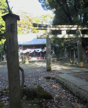 JT�p�p�̎G�L��