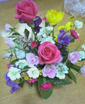 JT�p�p�̎G�L��