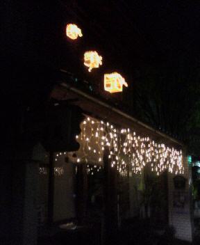 JT�p�p�̎G�L��