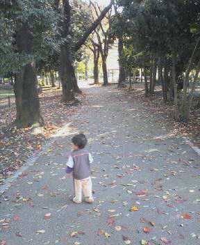 JT�p�p�̎G�L��