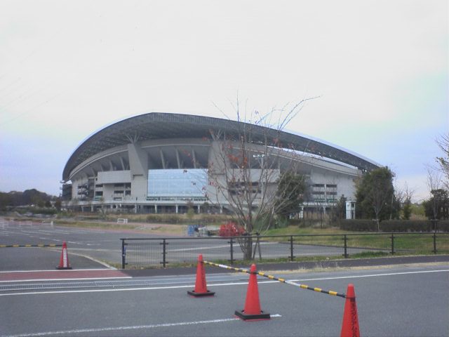 JT�p�p�̎G�L��