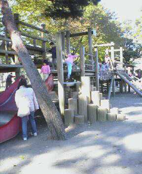 JT�p�p�̎G�L��