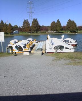 JT�p�p�̎G�L��