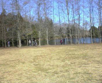 JT�p�p�̎G�L��