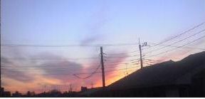 JT�p�p�̎G�L��