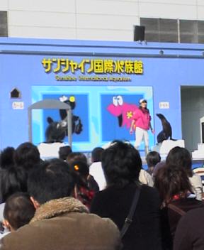 JT�p�p�̎G�L��