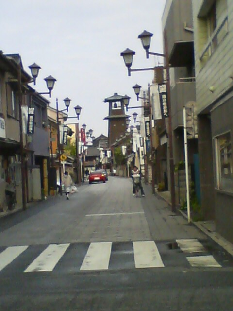 JT�p�p�̎G�L��