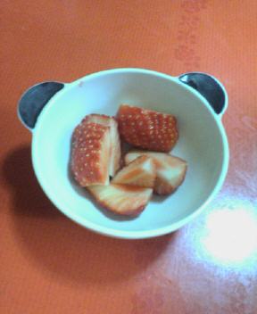 JT�p�p�̎G�L��