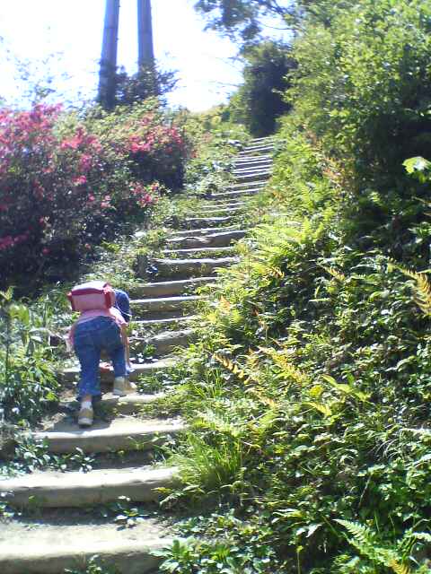 JT�p�p�̎G�L��