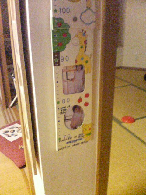 JT�p�p�̎G�L��