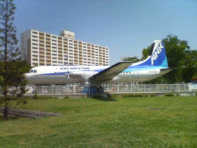 JT�p�p�̎G�L��