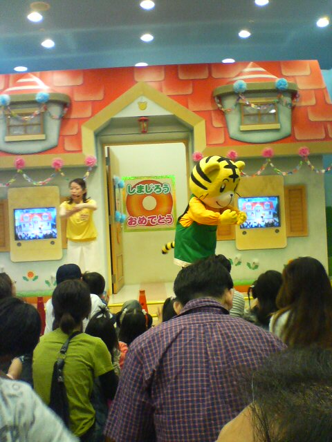 JT�p�p�̎G�L��