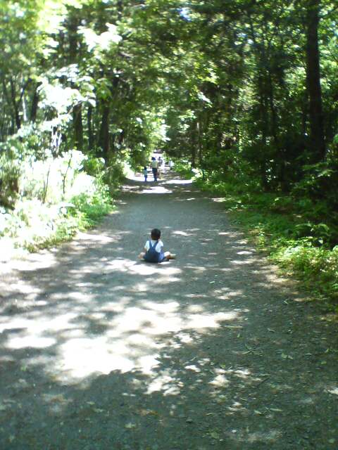 JT�p�p�̎G�L��