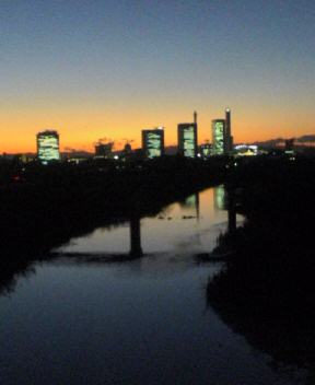 JT�p�p�̎G�L��