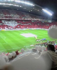 JT�p�p�̎G�L��