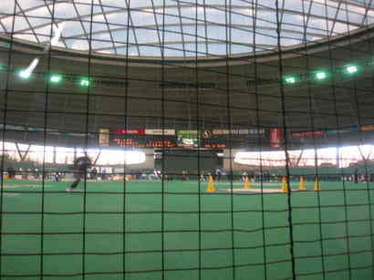 ��������̂����`������L