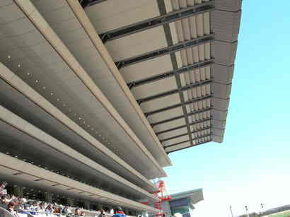 ��������̂����`������L