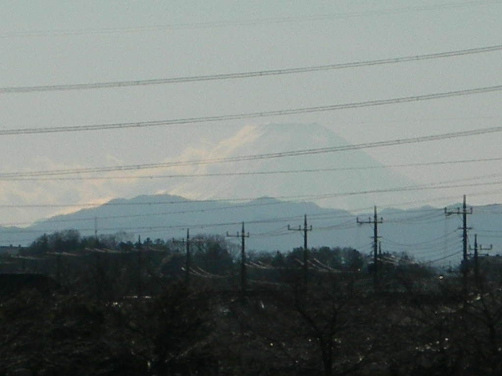 ��������̂����`������L