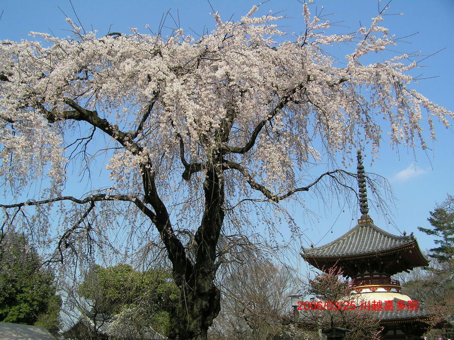 �I�[���̕ǎ�