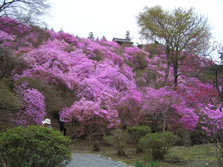 �I�[���̕ǎ�