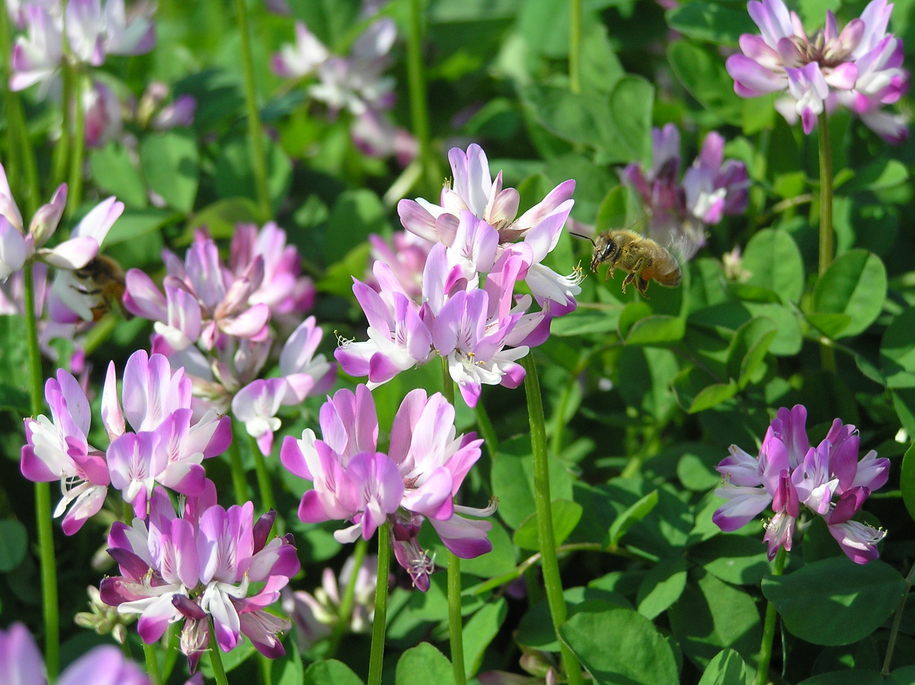 �I�[���̕ǎ�