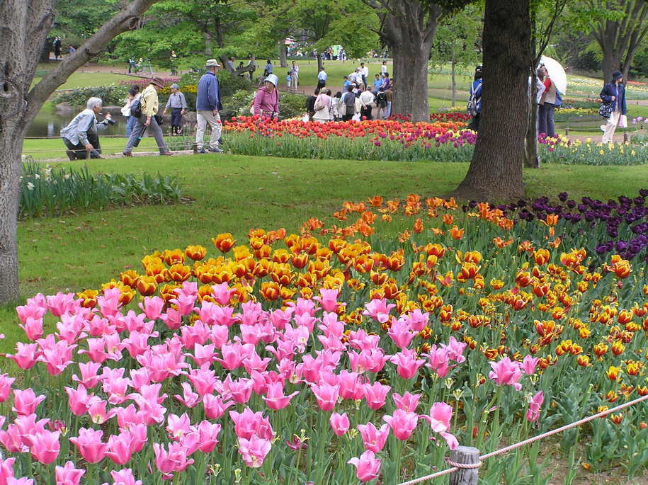 �I�[���̕ǎ�