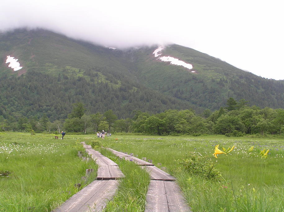 �I�[���̕ǎ�