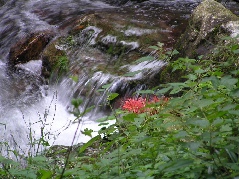 �I�[���̕ǎ�