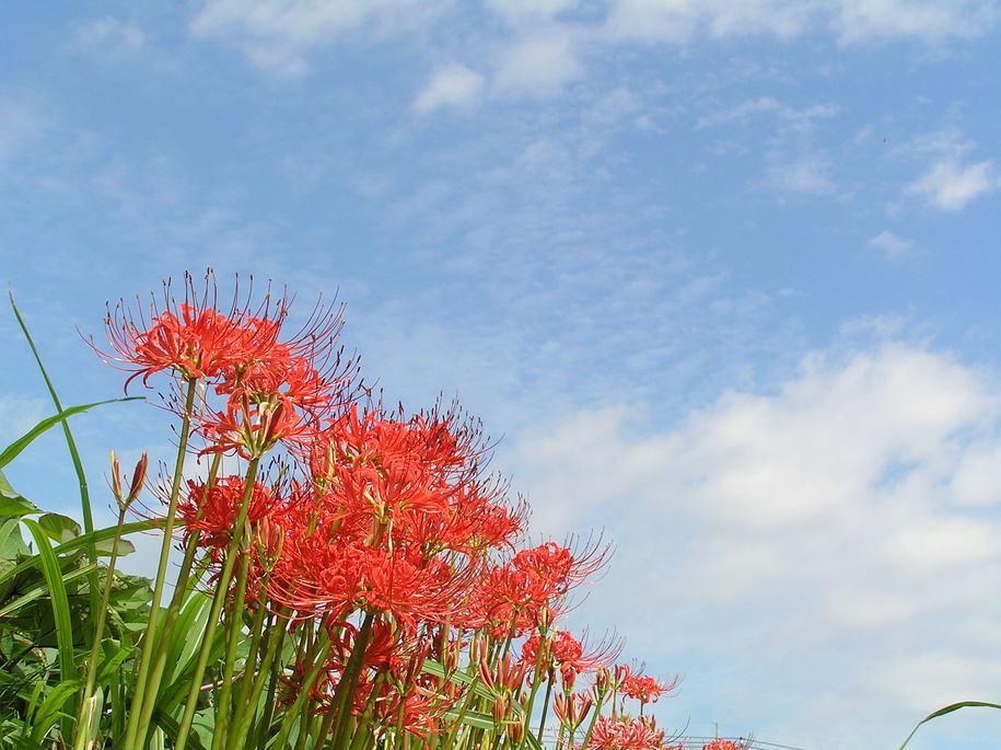 �I�[���̕ǎ�