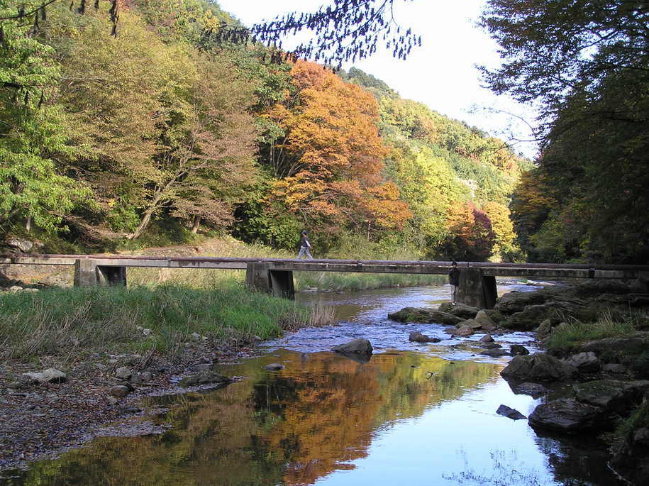 �I�[���̕ǎ�