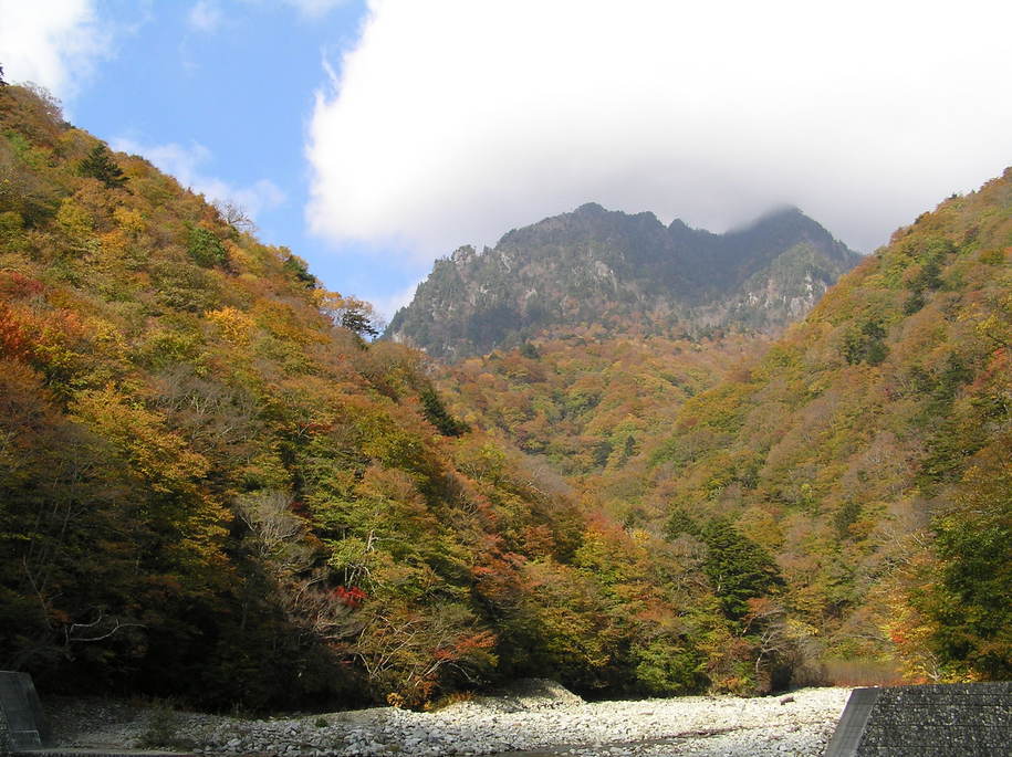 �I�[���̕ǎ�