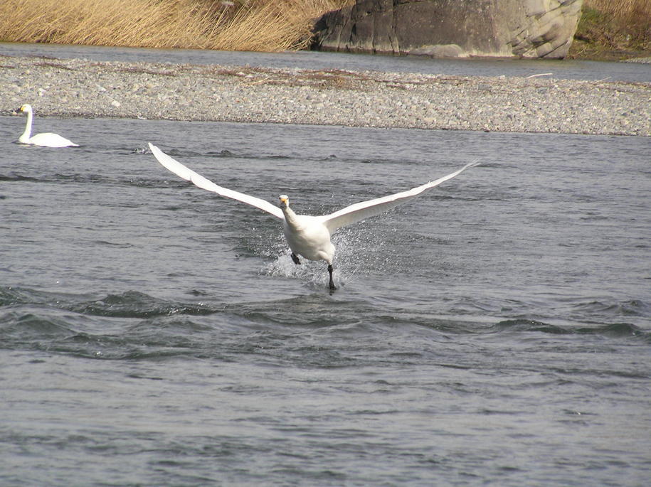 �I�[���̕ǎ�