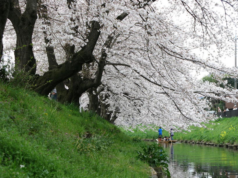 �I�[���̕ǎ�