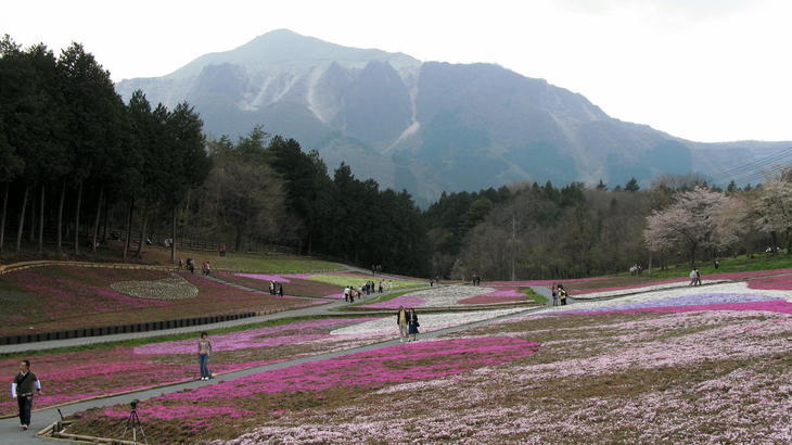 �I�[���̕ǎ�