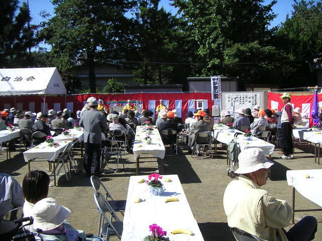 �����ݖ쎩����