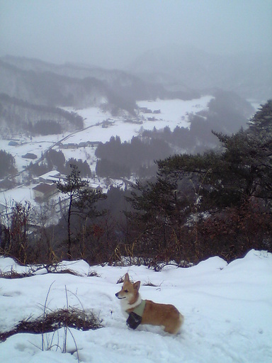 ���݂��q�n�n�l