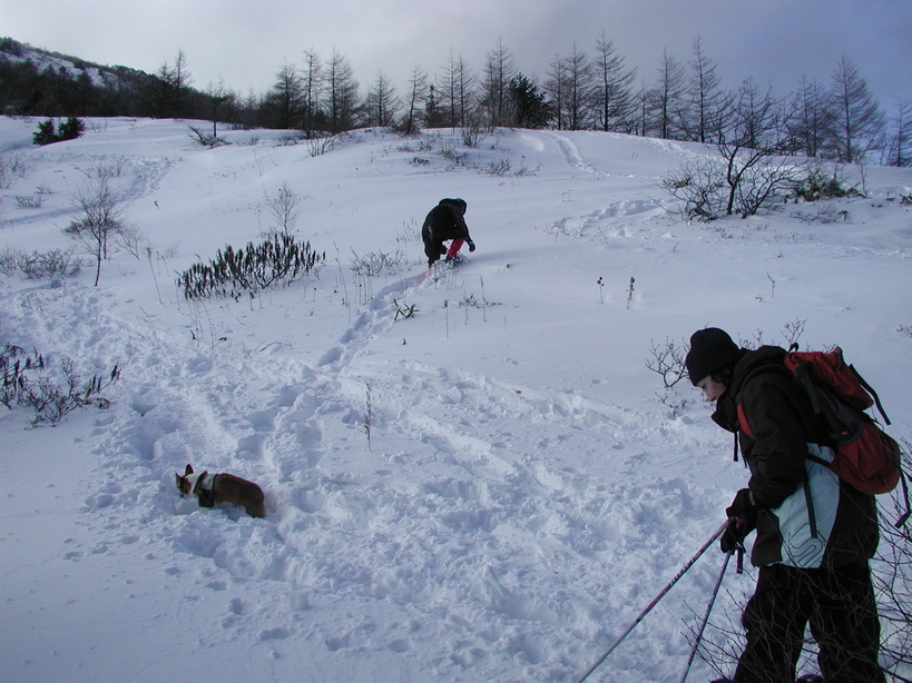 ���݂��q�n�n�l