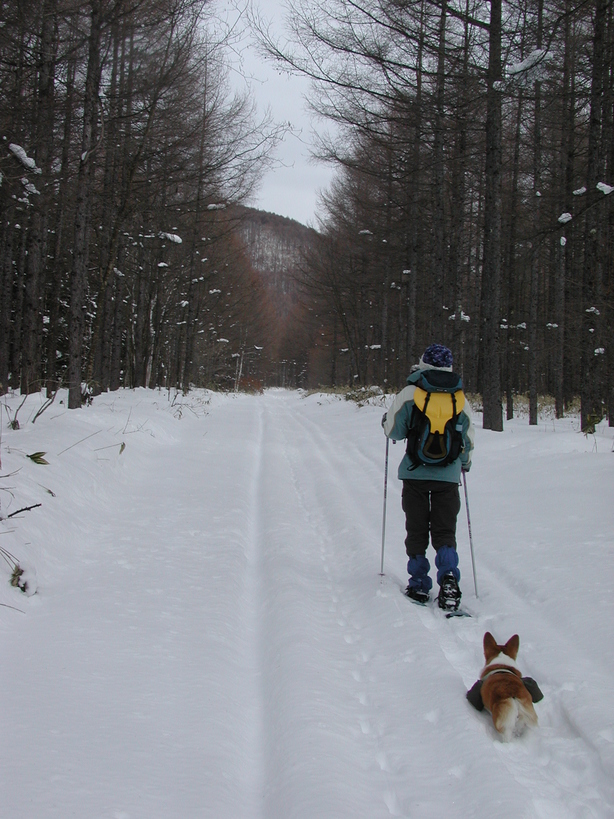 ���݂��q�n�n�l